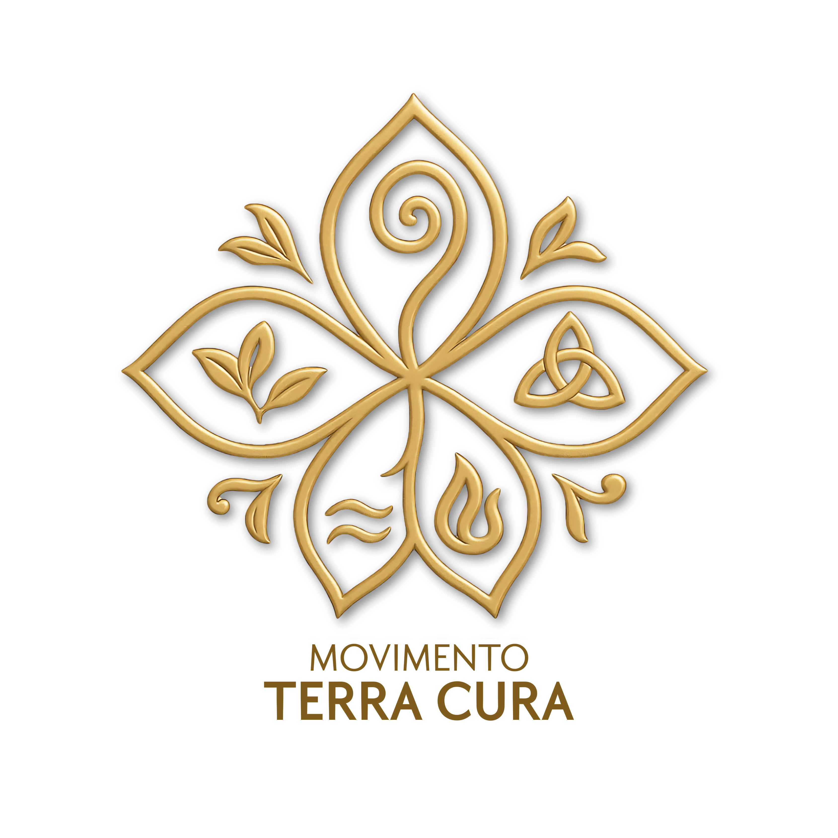 MOVIMENTO  TERRA CURA